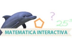 Client curatenie Matematica Interactiva Bucuresti